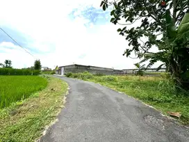 Tanah Jogja Utara Harga Murah View Sawah