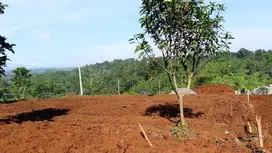 Tanah Kavling Terbaik di Gunungpati Semarang
