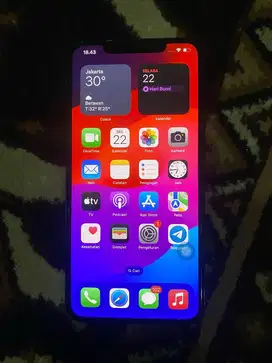 Iphone XS Max 256 GB