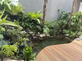 tukang kolam natuural pond
