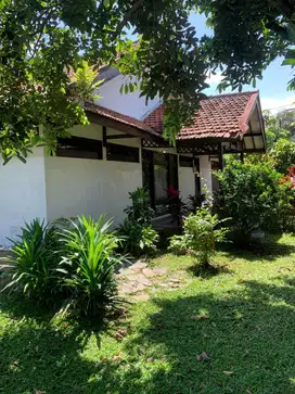 Rumah lama hitung tanah saja di turangga