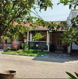 Rumah puri surya jaya sidoarjo, ready deltasari citra harmoni surabaya