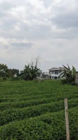 Lokasi Potensial! Tanah Dijual di Dekat UMM Malang – Pas untuk Hunian