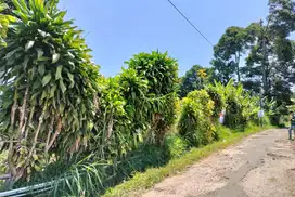 Dijual,jarang ada tanah cocok untuk investasi dikawasan lembang