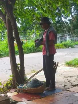 jasa tukang kebun gali tanah dll