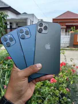 iPhone 12 Pro Max 256gb Beacukai Resmi