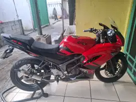 Ninja rr new 2012