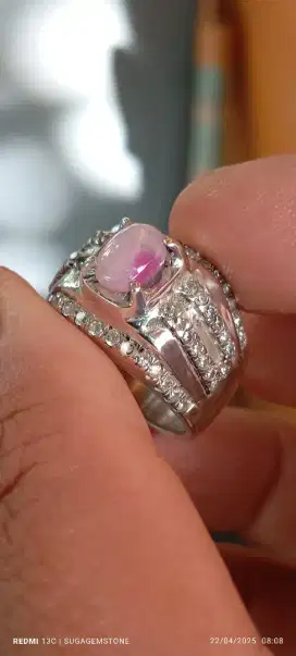 Bi color safir no heated memo belang koi