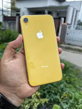 iPhone Xr 128gb imei resmi beacukai