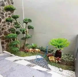 Tukang taman jual rumput gajah mini