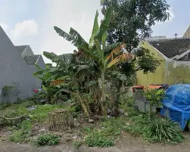 Dijual Tanah area jl Kalpataru dekat Suhat