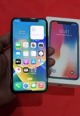 IPhone X 256GB Ex inter