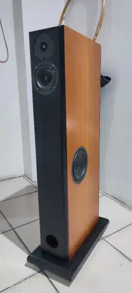 Audio Physic Virgo I