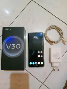 Vivo V30 5G 8+8/256 GB