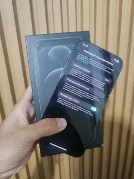 Iphone 12 Pro Max 256gb