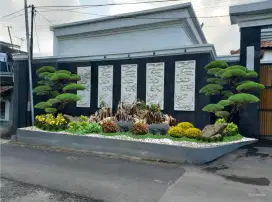 Taman dan bonsai