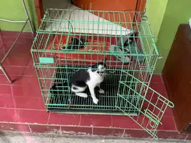 Kandang kucing/anjing sepaket kecil dan besar