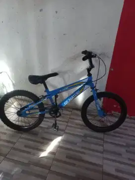 Sepeda anak senator