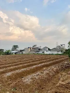 Dijual Cepat Tanah Kavling Cocok Bangun Rumah dekat Thursina Malang