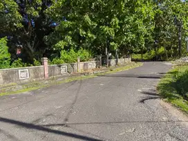 Dijual Tanah 25,8 Are di Jl. Dharmawangsa- Kutuh
