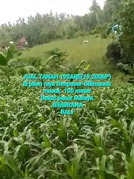 JUAL TANAH 192 ARE  MELAYA  JEMBRANA,MASUK 100M
