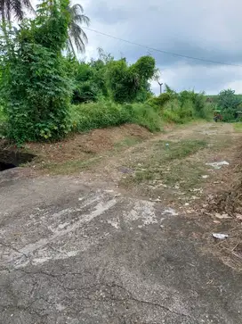 Dijual Tanah Lokasi Strategis di Jl. Raya Batukaru - Tabanan .