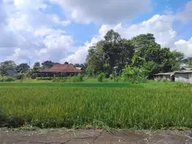 Dijual Murah Tanah Strategis di dekat Candi Sambi Sari Jogjakarta
