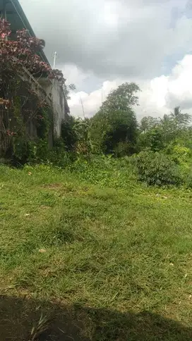 Dijual Tanah Lokasi Strategis di Jl. Raya Batukaru - Tabanan .