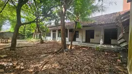 Tanah cendrawasih petitenget