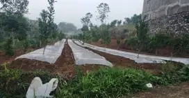 Dijual murah tanah dau precet sebelah Kampus UIN