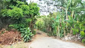 Tanah Luas Ada Sumber Mata Air Siap Bangun Perumahan Dekat Bukit Dieng