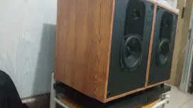 Speaker vintage original USA  Design Acoustic PS -99