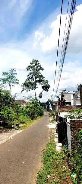 Jual Tanah Murah Pakis Jajar Surat SHM