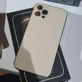 Iphone 12 Pro Gold 256gb Beacukai Lengkal
