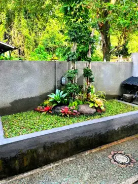 Taman exotic alami dengan kolam relief