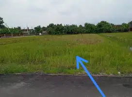 Tanah colomadu murah