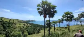 DIJUAL TANAH SHM 19,7 HA VIEW SUNRISE DAN TELUK WAECICU LABUAN BAJO