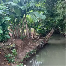 Di jual tanah los sungai luasan kecil di tanah lot tabanan