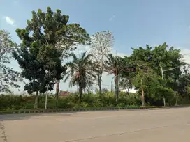 Dijual Tanah Luas Lokasi Strategis di Kawasan Marina Semarang