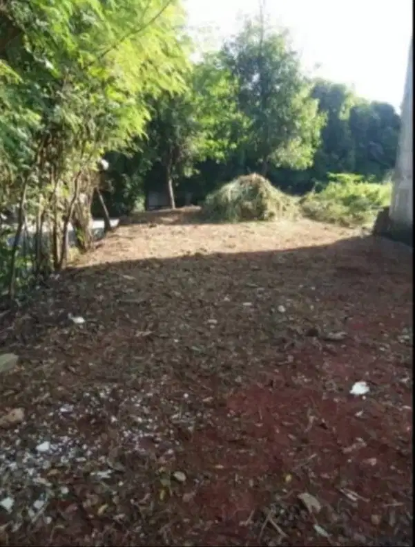 Dijual tanah Tanpa perantara di Jalan Bambu Apus, Pamulang, Tangerang