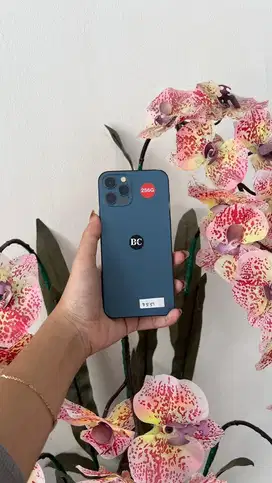 iPhone 12Pro 256GB Beacukai Full set No minus Bergaransi