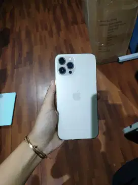 Iphone 12 Promax 256gb Beacukai Resmi