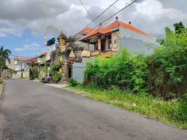 Jual Tanah Di  Jalan Buluh Indah Denpasar Bali Gatsu Barat,Cargo