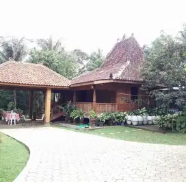 Dijual Rumah Luas Lokasi Jl. Sumurrejo Gunungpati Semarang