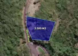 Roadside land of 2500 sqm for sale in Ungasan, Bali