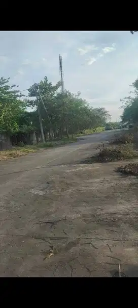 Disewakan Tanah/lahan di kawasan industri tambun selatan,bekasi