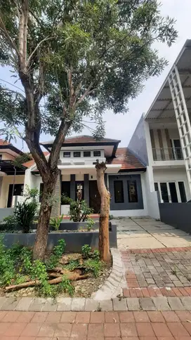 Rumah Palma Grandia Citraland