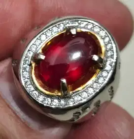 Ruby pigion blod (Natural asli)