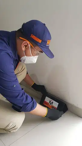 Rodent Control atau Pembasmi Tikus Bandung