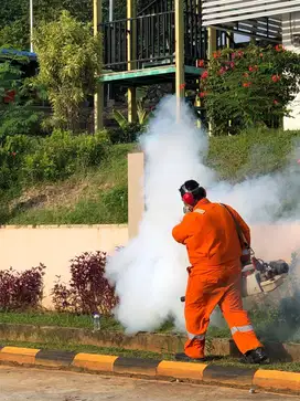 Fogging atau Pengasapan Nyamuk DBD Bandung